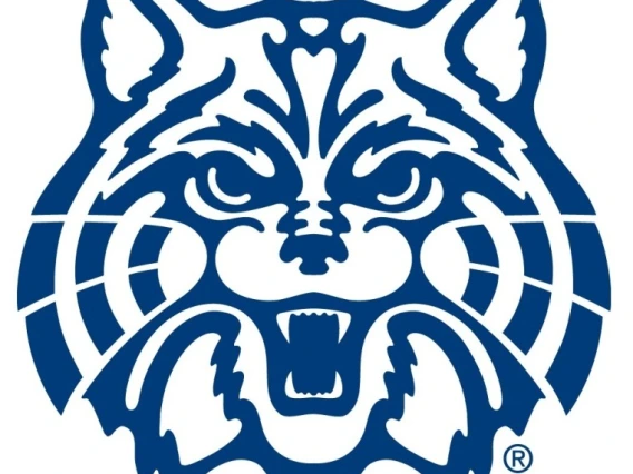 Wildcat logo